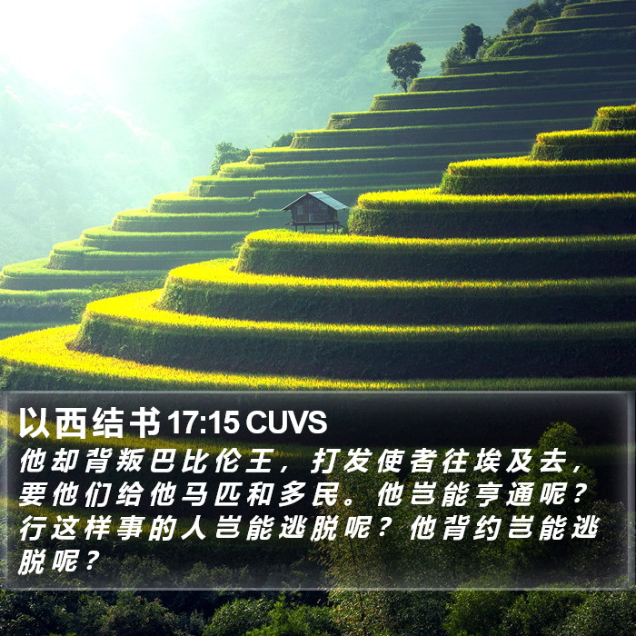 以 西 结 书 17:15 CUVS Bible Study