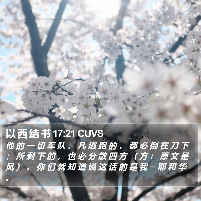 以 西 结 书 17:21 CUVS Bible Study