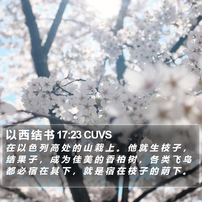 以 西 结 书 17:23 CUVS Bible Study