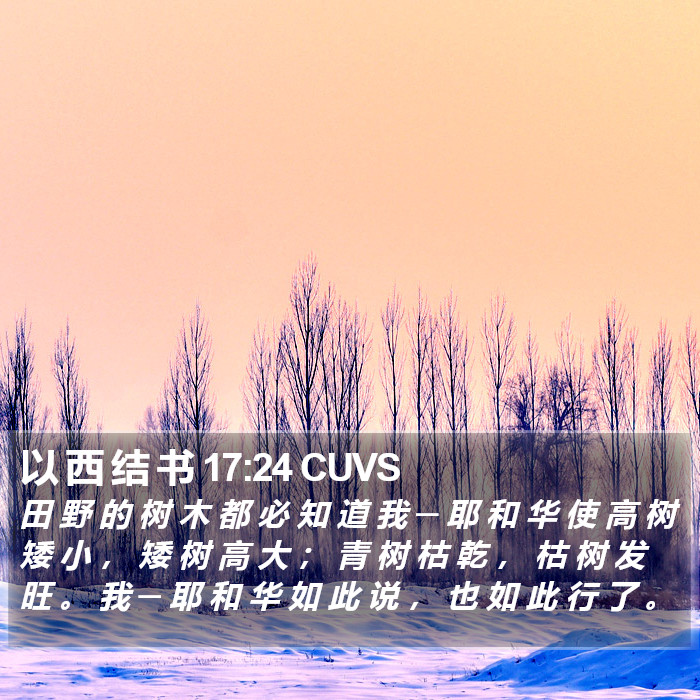 以 西 结 书 17:24 CUVS Bible Study
