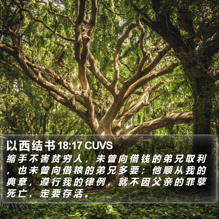 以 西 结 书 18:17 CUVS Bible Study