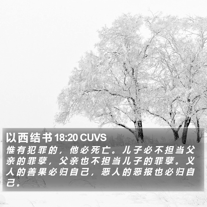 以 西 结 书 18:20 CUVS Bible Study