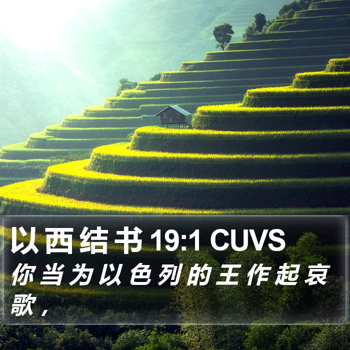 以 西 结 书 19:1 CUVS Bible Study