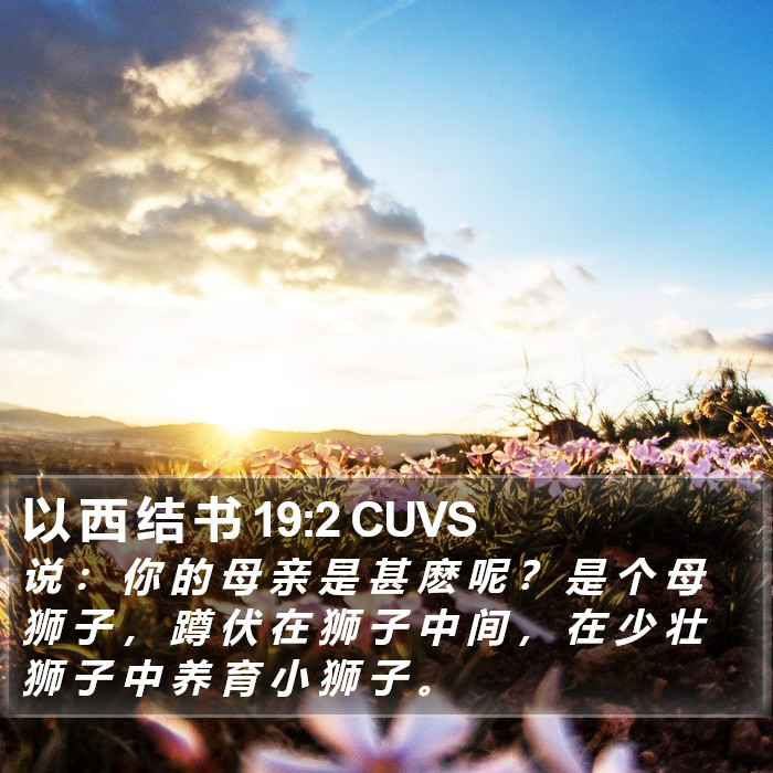 以 西 结 书 19:2 CUVS Bible Study