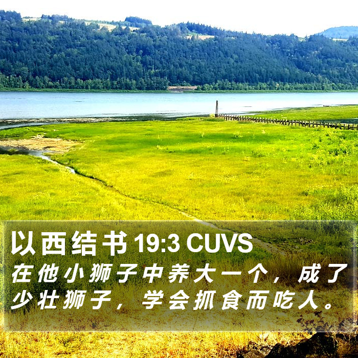 以 西 结 书 19:3 CUVS Bible Study