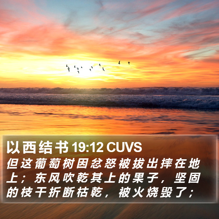 以 西 结 书 19:12 CUVS Bible Study