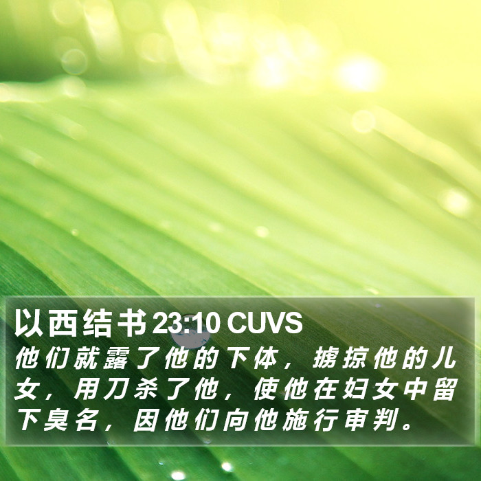 以 西 结 书 23:10 CUVS Bible Study