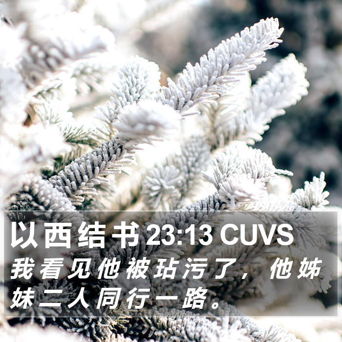 以 西 结 书 23:13 CUVS Bible Study