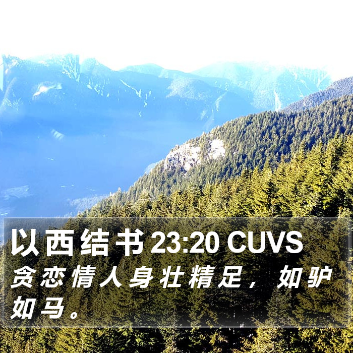 以 西 结 书 23:20 CUVS Bible Study