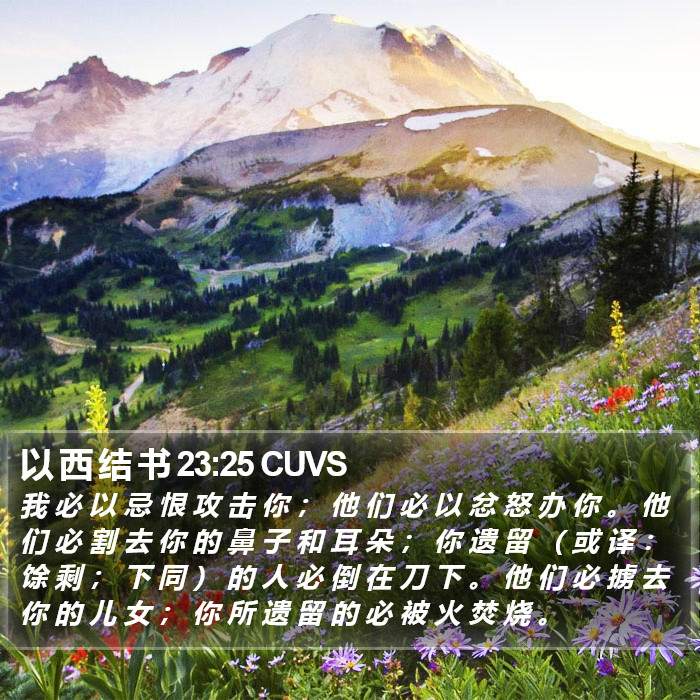 以 西 结 书 23:25 CUVS Bible Study