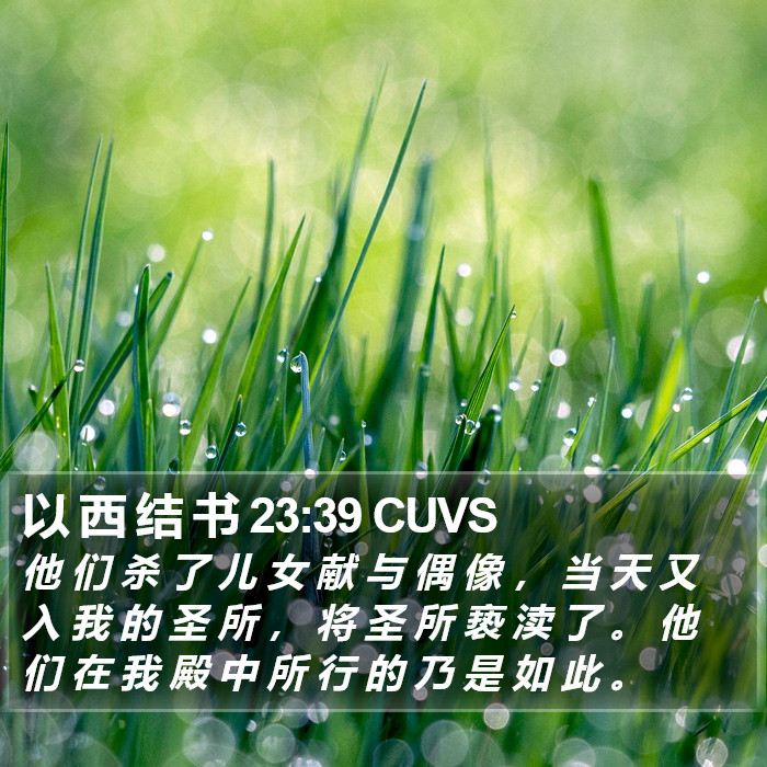 以 西 结 书 23:39 CUVS Bible Study