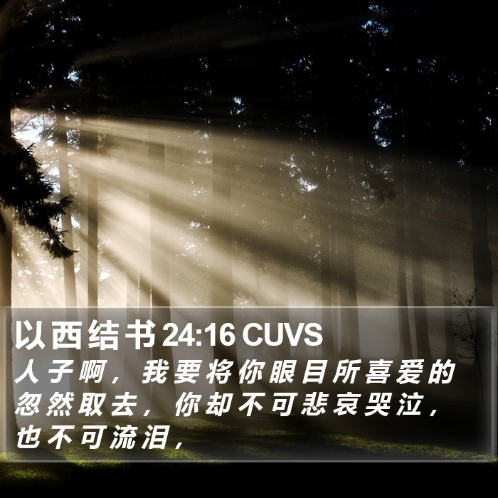 以 西 结 书 24:16 CUVS Bible Study