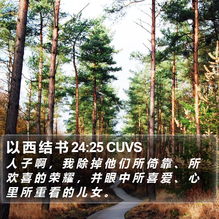 以 西 结 书 24:25 CUVS Bible Study