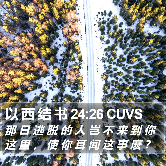 以 西 结 书 24:26 CUVS Bible Study