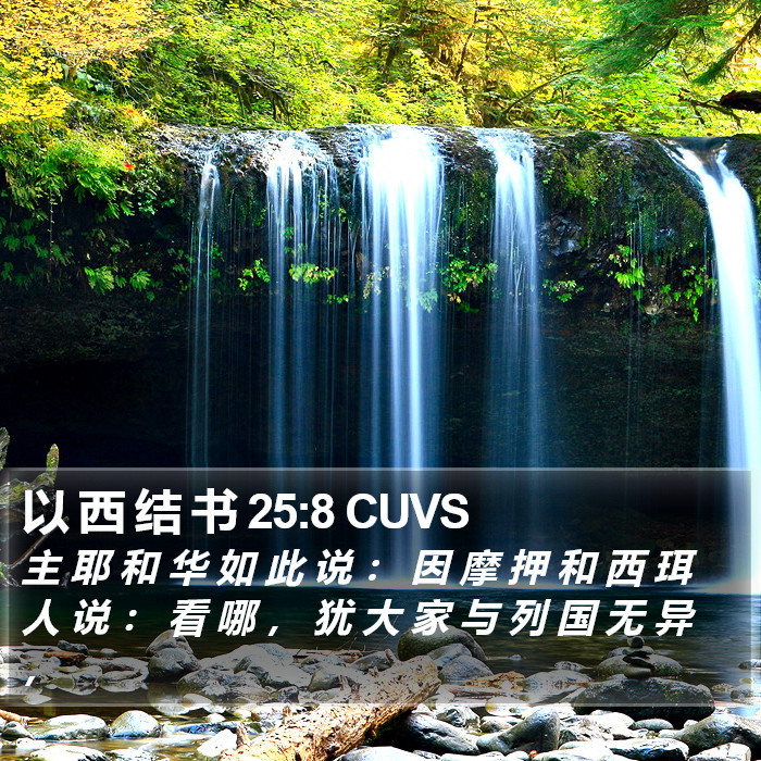 以 西 结 书 25:8 CUVS Bible Study