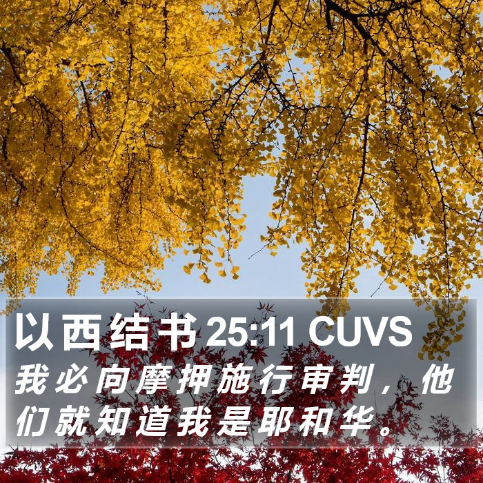 以 西 结 书 25:11 CUVS Bible Study