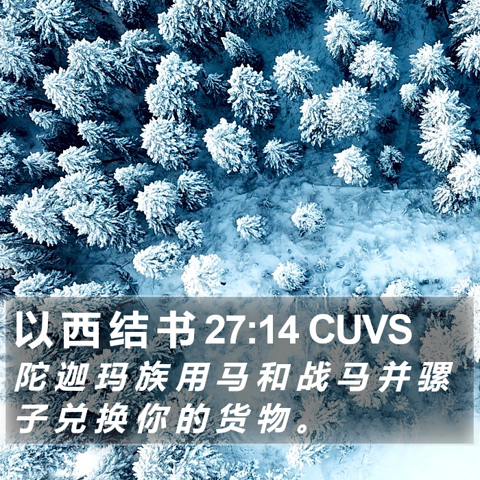 以 西 结 书 27:14 CUVS Bible Study
