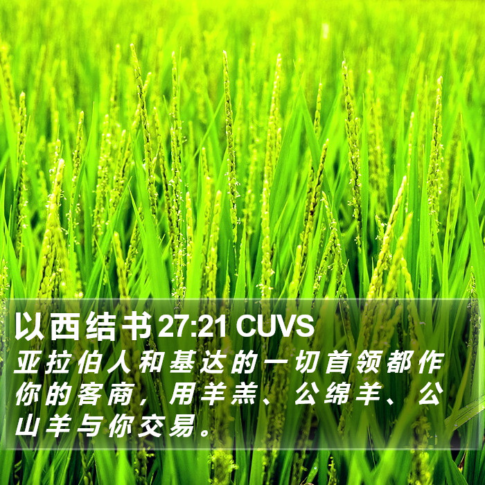 以 西 结 书 27:21 CUVS Bible Study