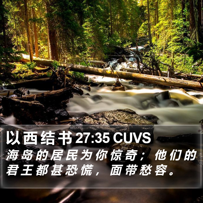 以 西 结 书 27:35 CUVS Bible Study