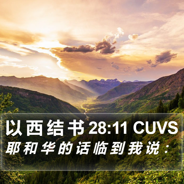 以 西 结 书 28:11 CUVS Bible Study