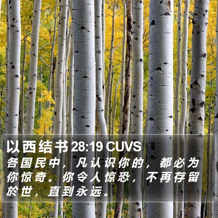 以 西 结 书 28:19 CUVS Bible Study