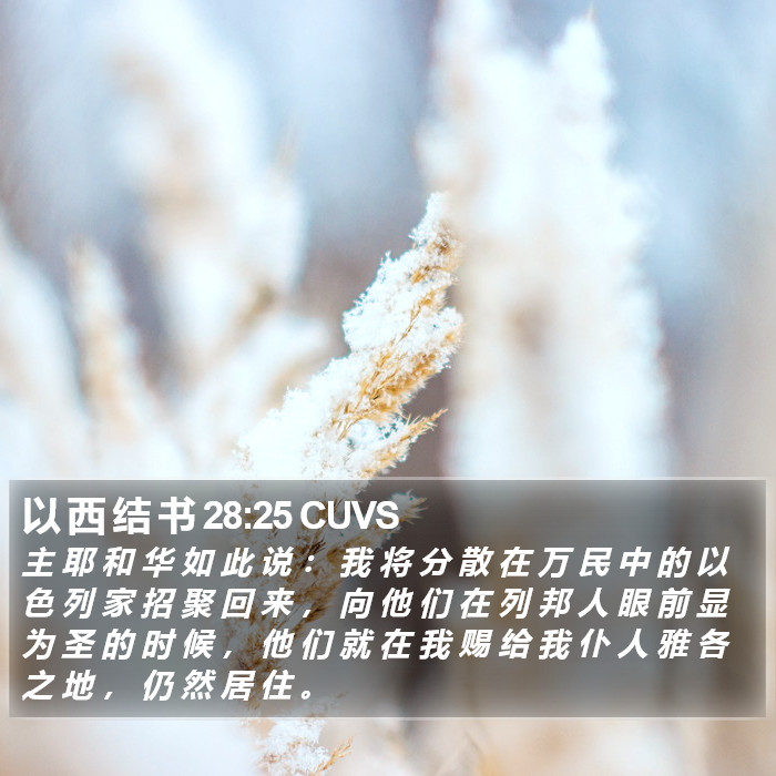 以 西 结 书 28:25 CUVS Bible Study