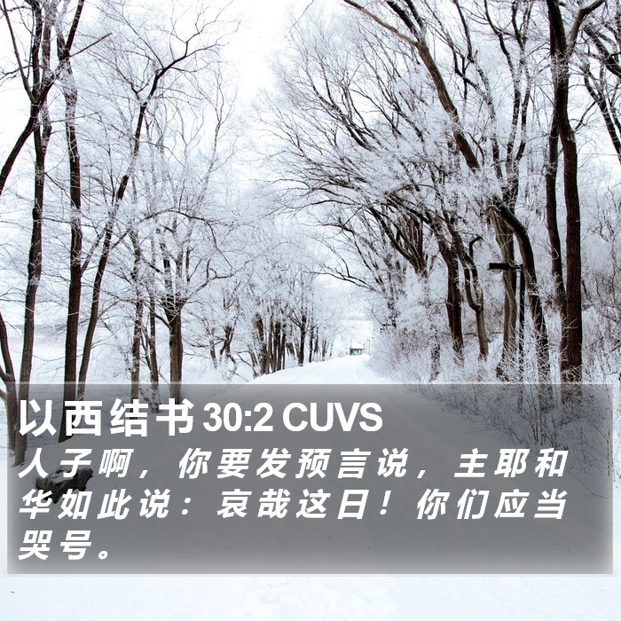 以 西 结 书 30:2 CUVS Bible Study