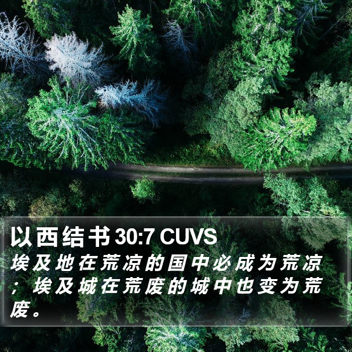 以 西 结 书 30:7 CUVS Bible Study