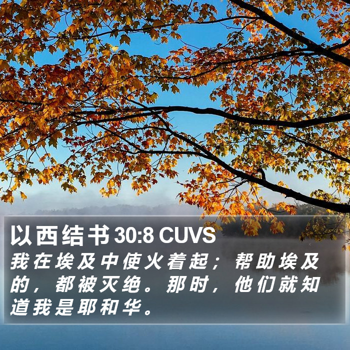 以 西 结 书 30:8 CUVS Bible Study