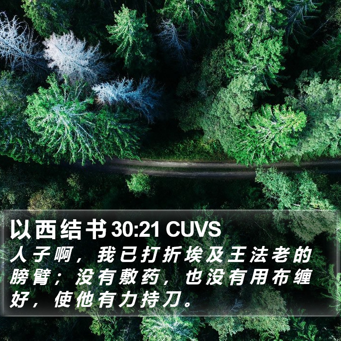 以 西 结 书 30:21 CUVS Bible Study