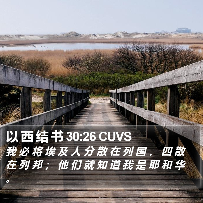 以 西 结 书 30:26 CUVS Bible Study