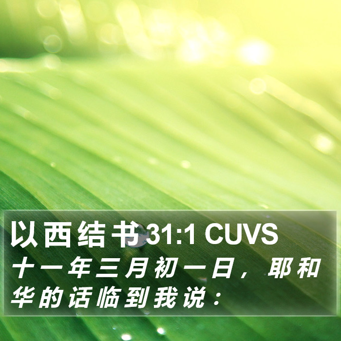 以 西 结 书 31:1 CUVS Bible Study