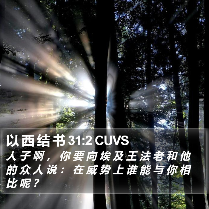 以 西 结 书 31:2 CUVS Bible Study