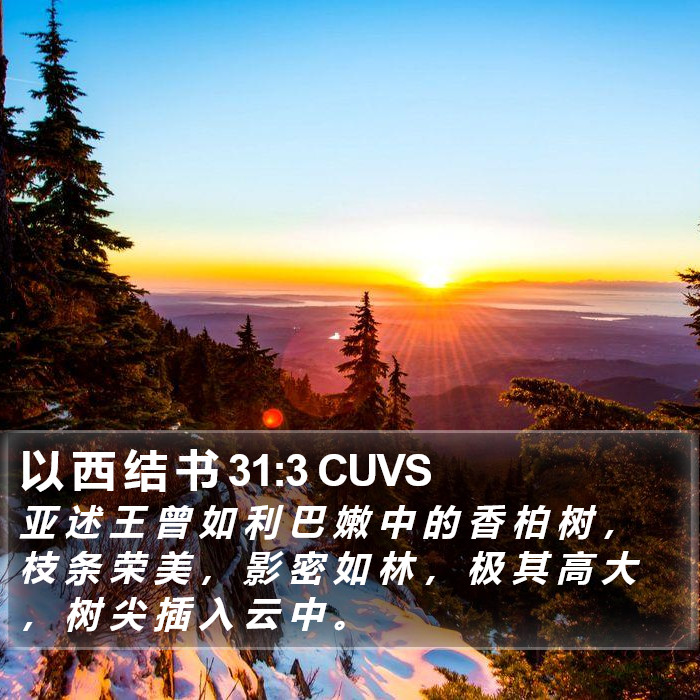 以 西 结 书 31:3 CUVS Bible Study