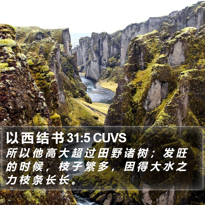 以 西 结 书 31:5 CUVS Bible Study