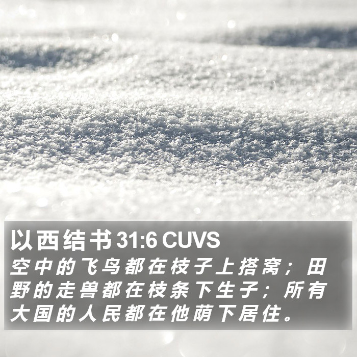 以 西 结 书 31:6 CUVS Bible Study