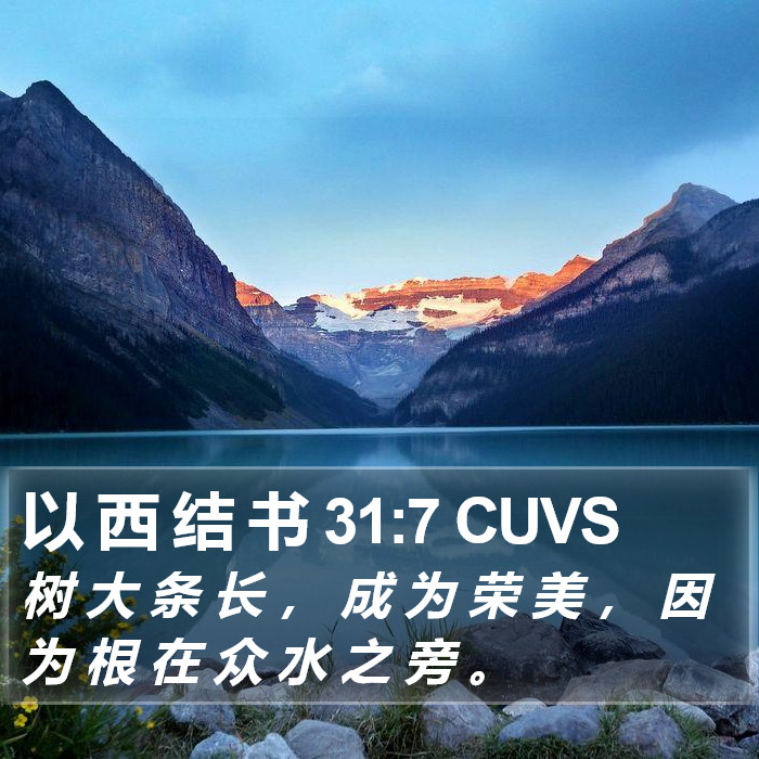 以 西 结 书 31:7 CUVS Bible Study