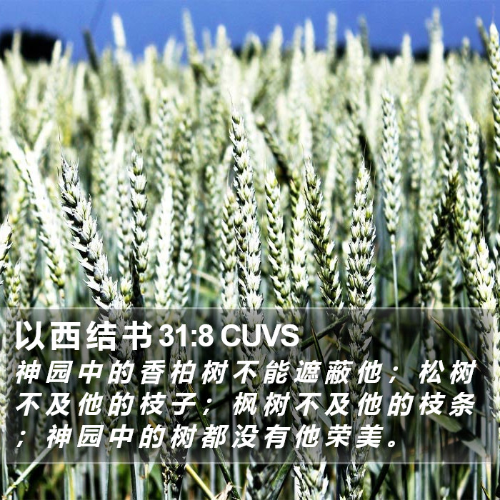 以 西 结 书 31:8 CUVS Bible Study