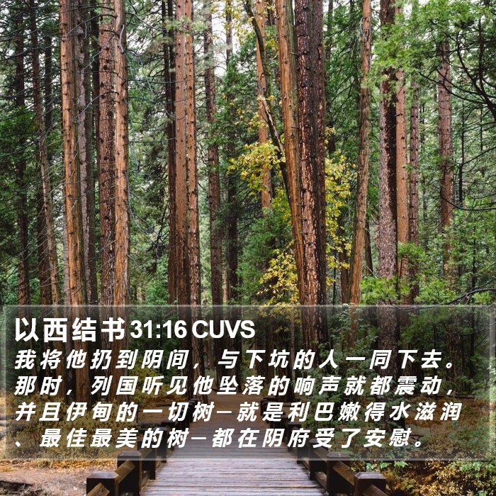 以 西 结 书 31:16 CUVS Bible Study