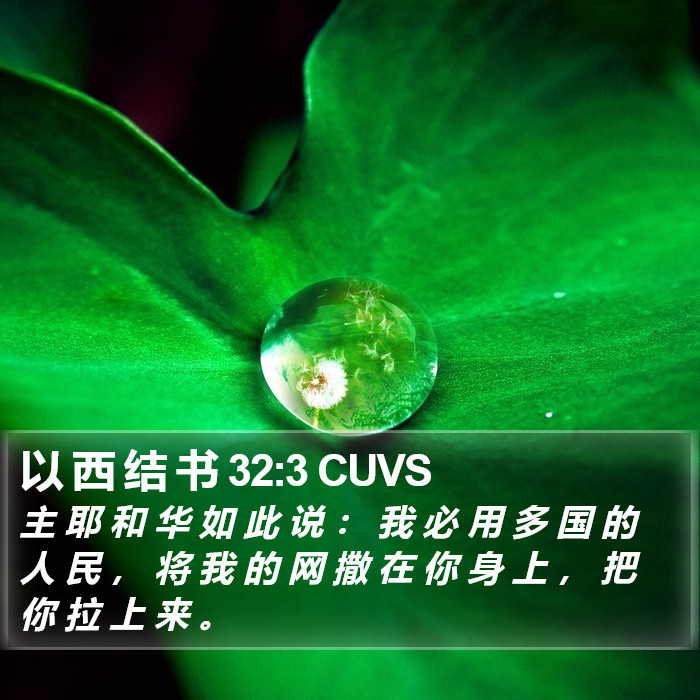 以 西 结 书 32:3 CUVS Bible Study