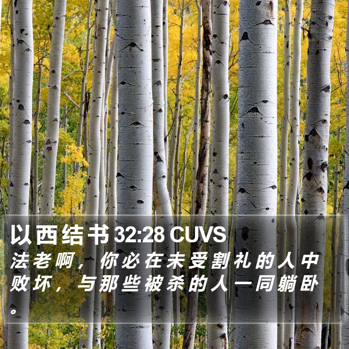 以 西 结 书 32:28 CUVS Bible Study