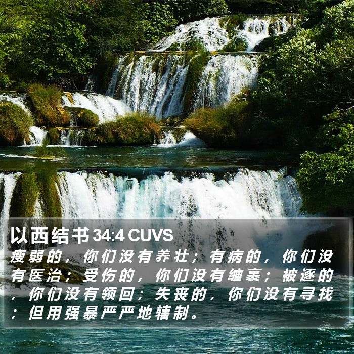 以 西 结 书 34:4 CUVS Bible Study