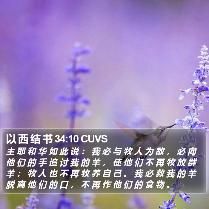 以 西 结 书 34:10 CUVS Bible Study