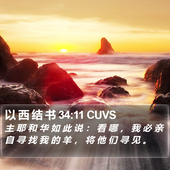 以 西 结 书 34:11 CUVS Bible Study