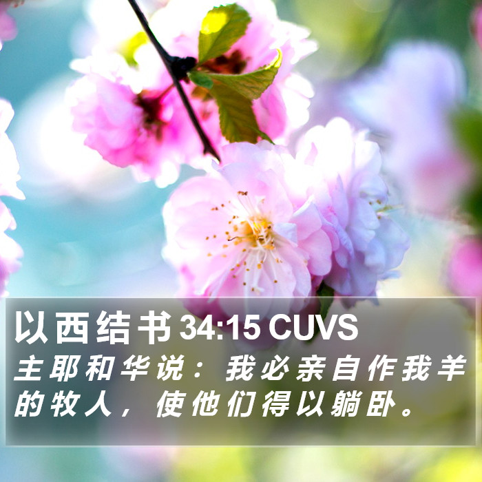 以 西 结 书 34:15 CUVS Bible Study