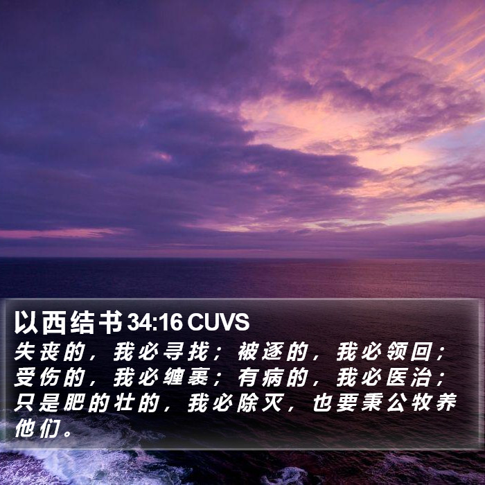 以 西 结 书 34:16 CUVS Bible Study