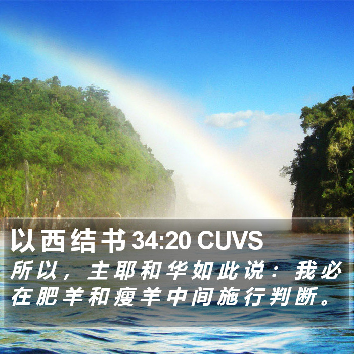 以 西 结 书 34:20 CUVS Bible Study