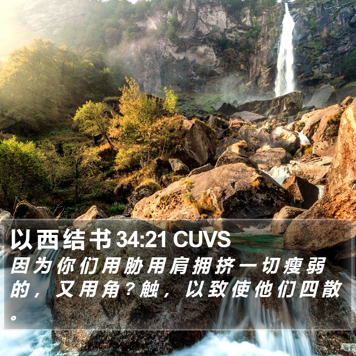 以 西 结 书 34:21 CUVS Bible Study