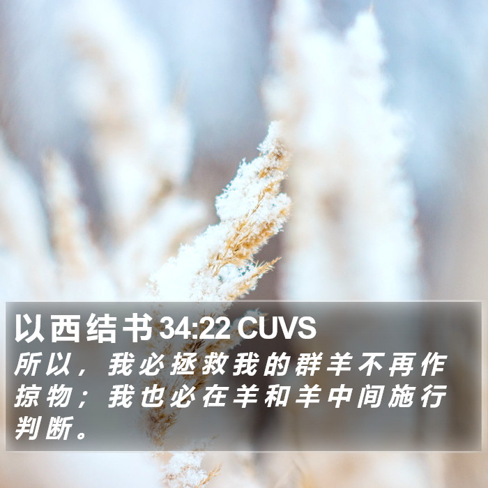 以 西 结 书 34:22 CUVS Bible Study