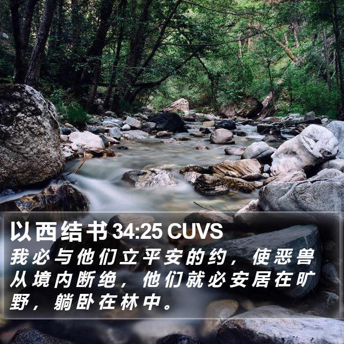 以 西 结 书 34:25 CUVS Bible Study